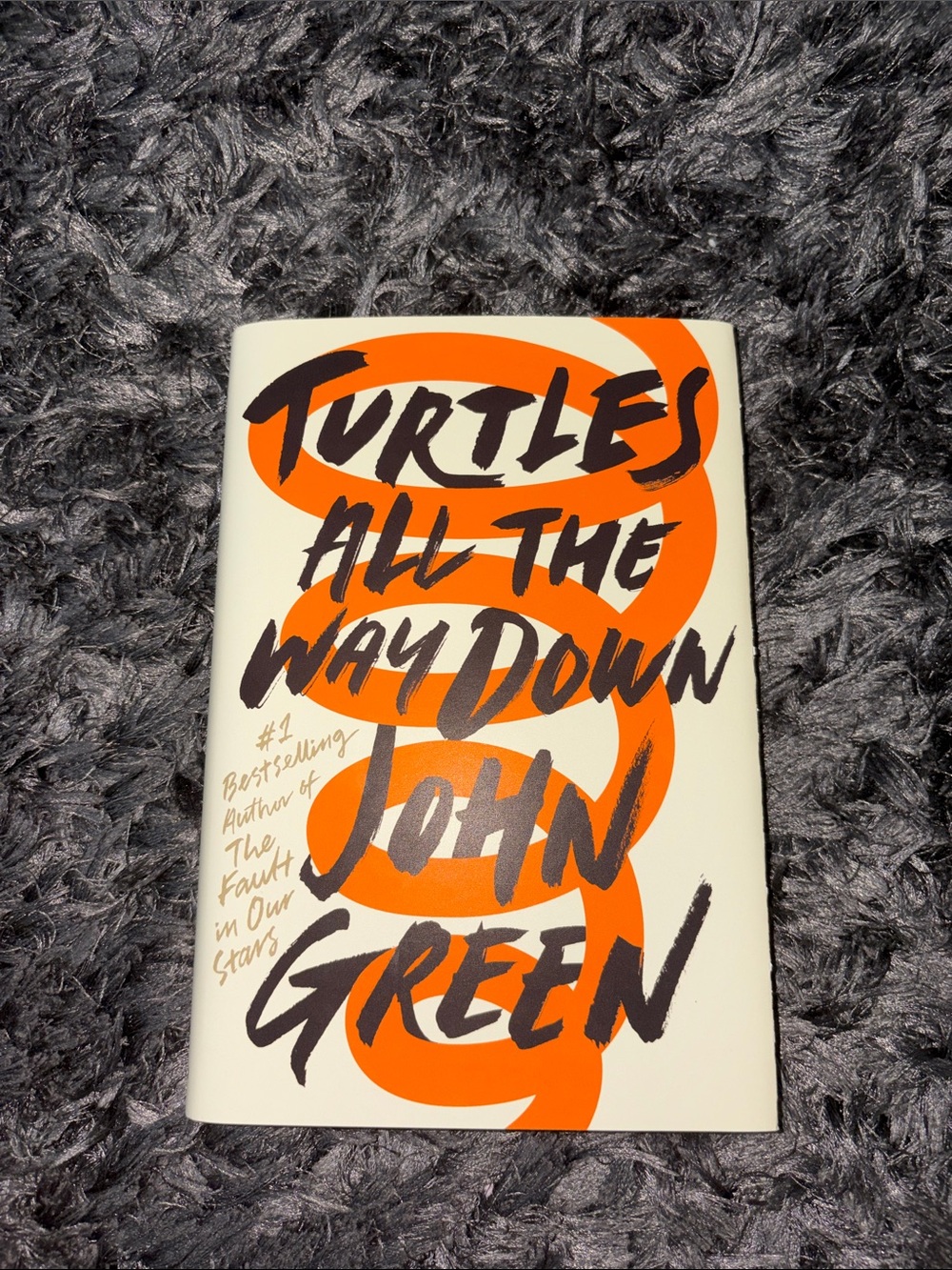 Turtles All the Way Down by John Green — Paperback